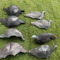 Turkey Decoys