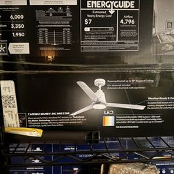 52” indoor/ outdoor fan