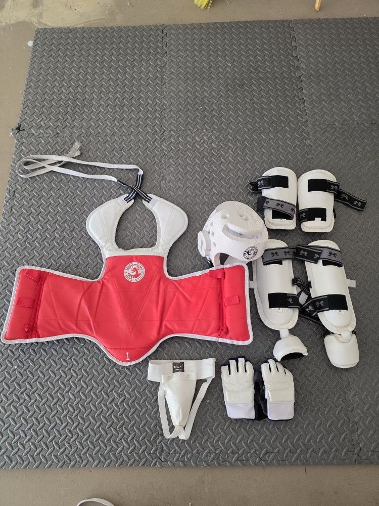 Taekwondo Sparring Gear