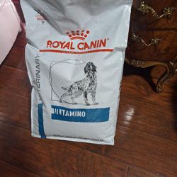Large New Dry Dog Food