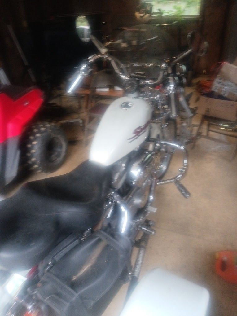 HArley Sportster