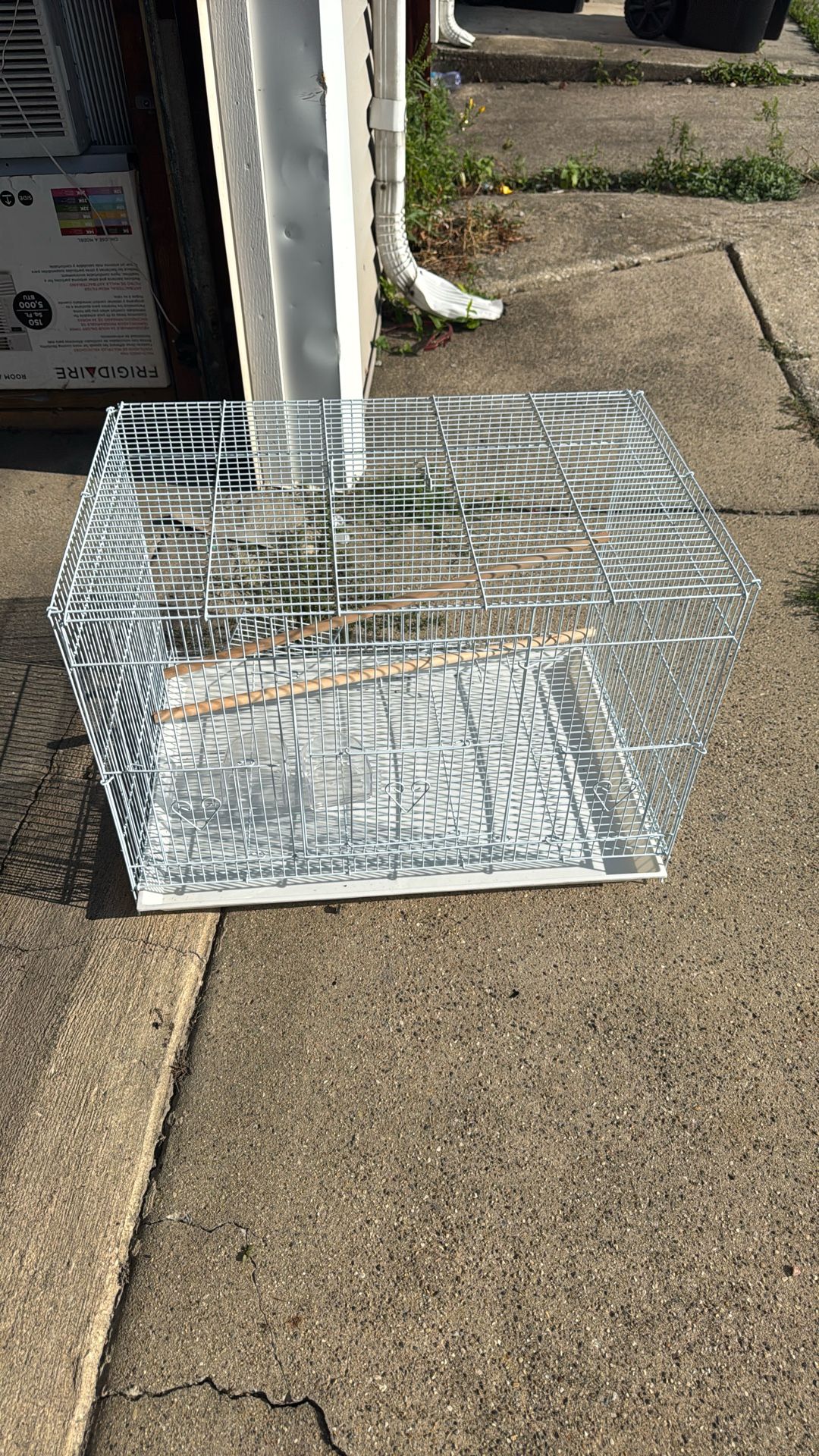 Bird Cage