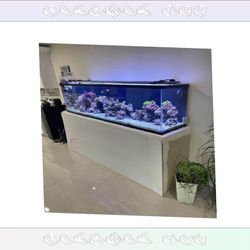 town approach Giant Aquarium Tank - Spacious & Magnificent