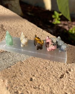 Mini Dinos