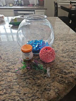 Fish Tank