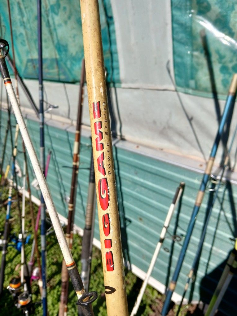 Fishing Poles 17 With Reels 6 With Out