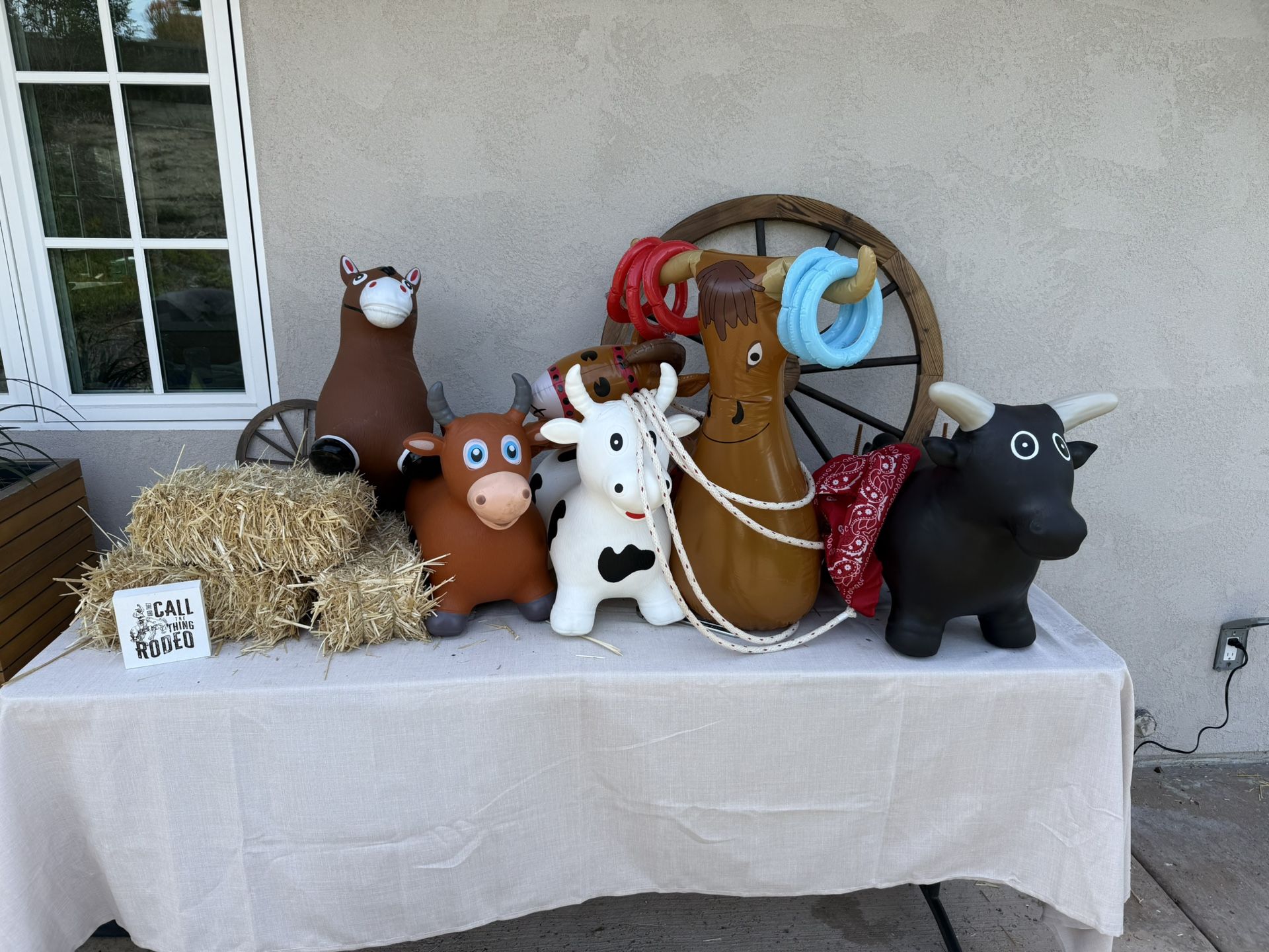 Western/Rodeo Party Decor