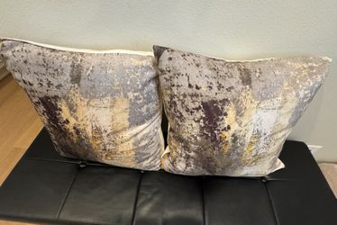 Set of 2 Beautiful modern pillows for home decor  Gold/Gray