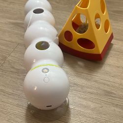 Interactive cat toys