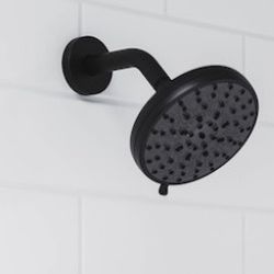 Pfister Zeelan Matte Black Shower Head