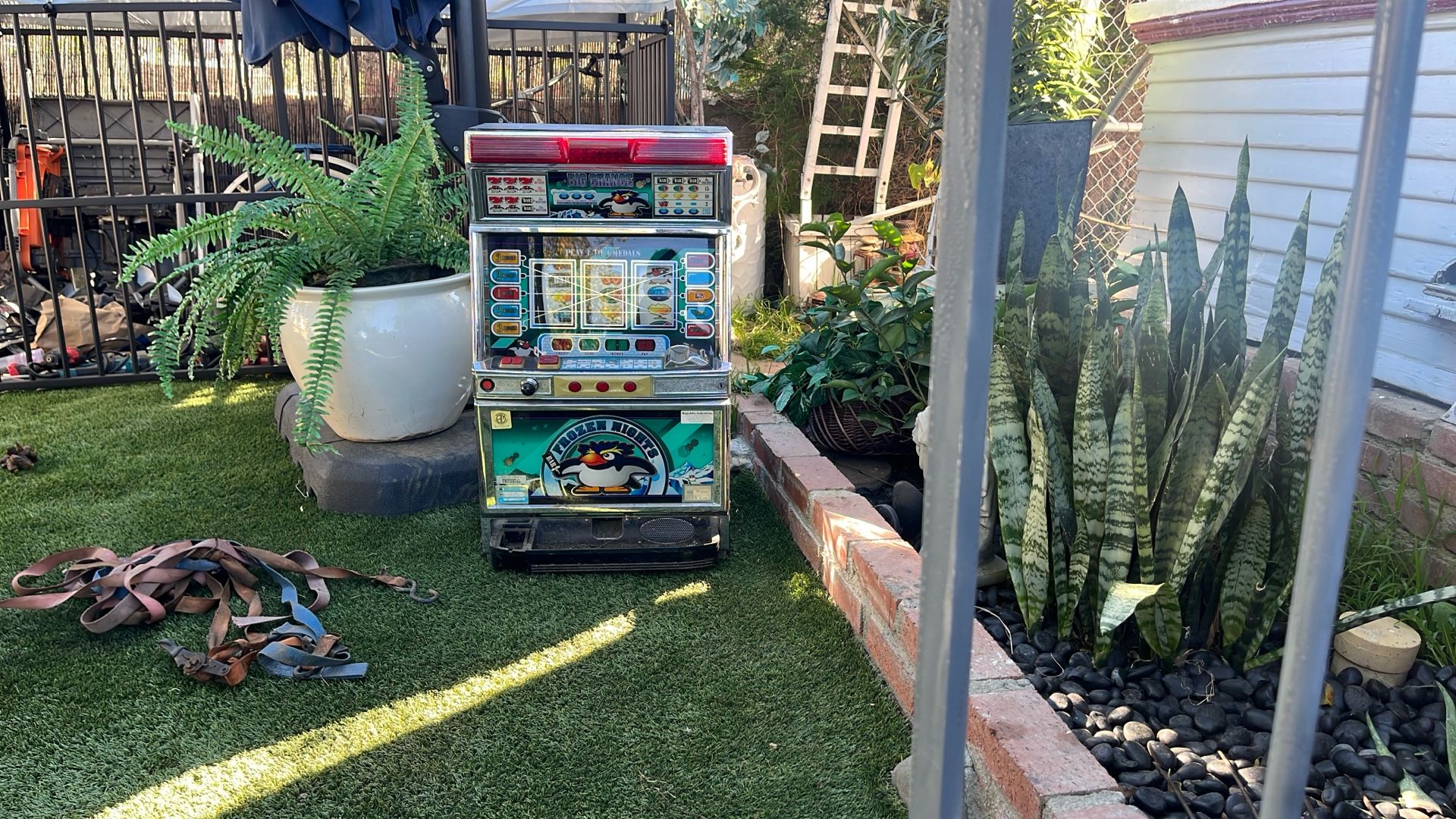 Slot Machines (Real Las Vegas With Certification)