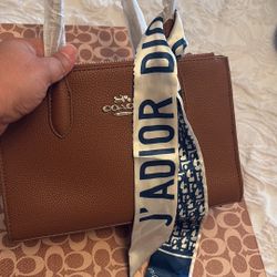 Hand Bag Color Coffee 