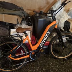 Electric Bike