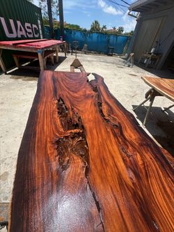 Live Edge Slabs ~ Please Read Description!