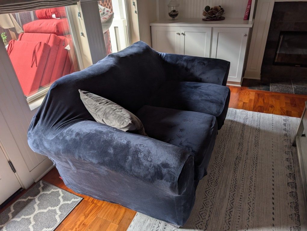 URGENT MOVING SALE! Three Couches + Like-New Futon - Only $100 for EVERYTHING!