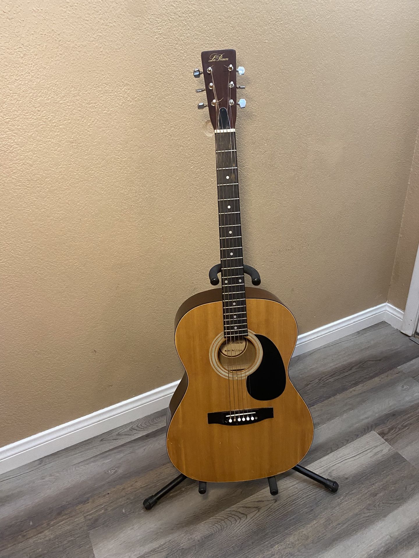Acoustic Guitar with Stand 