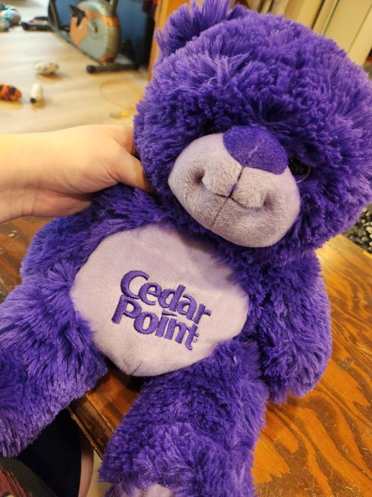 Cedar Point Bear