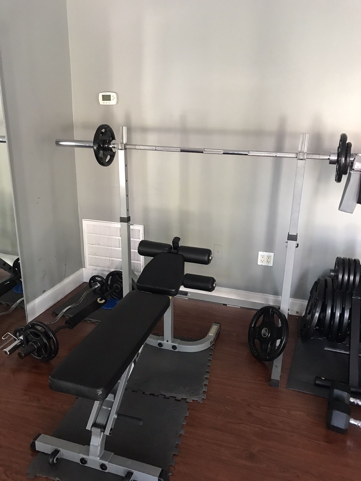Weighted bar, bar stand with plates & plate rack