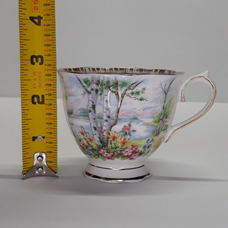 Vintage Royal Albert Silver Birch Bone China Tea Cup England