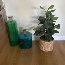Home Decor. House Plant And Glass Jugs/ Vases