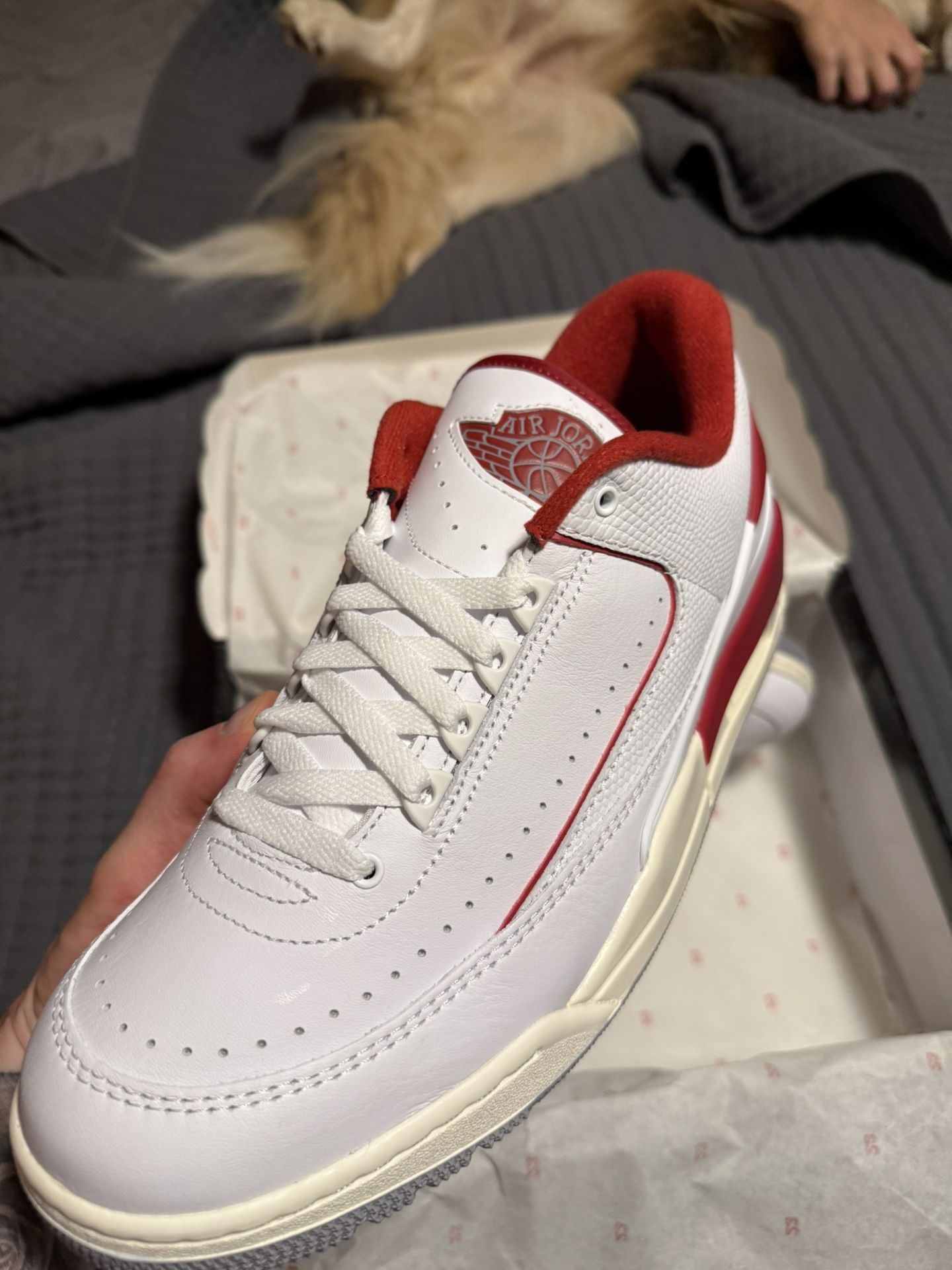 Jordan 2/3