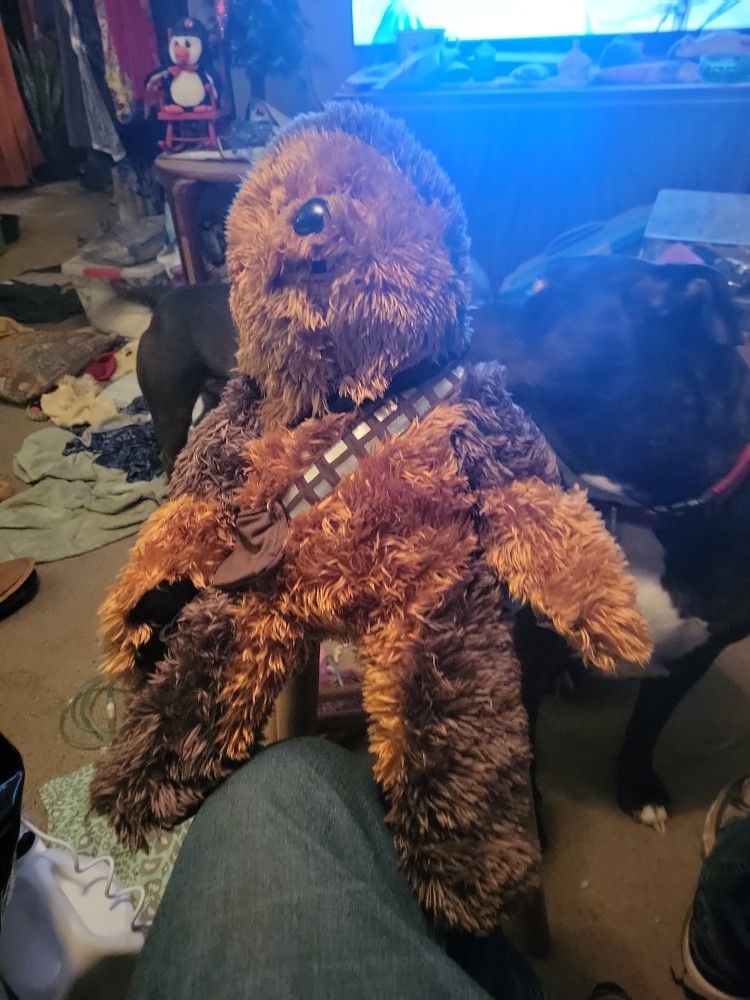 Build A Bear Chewy Starwares