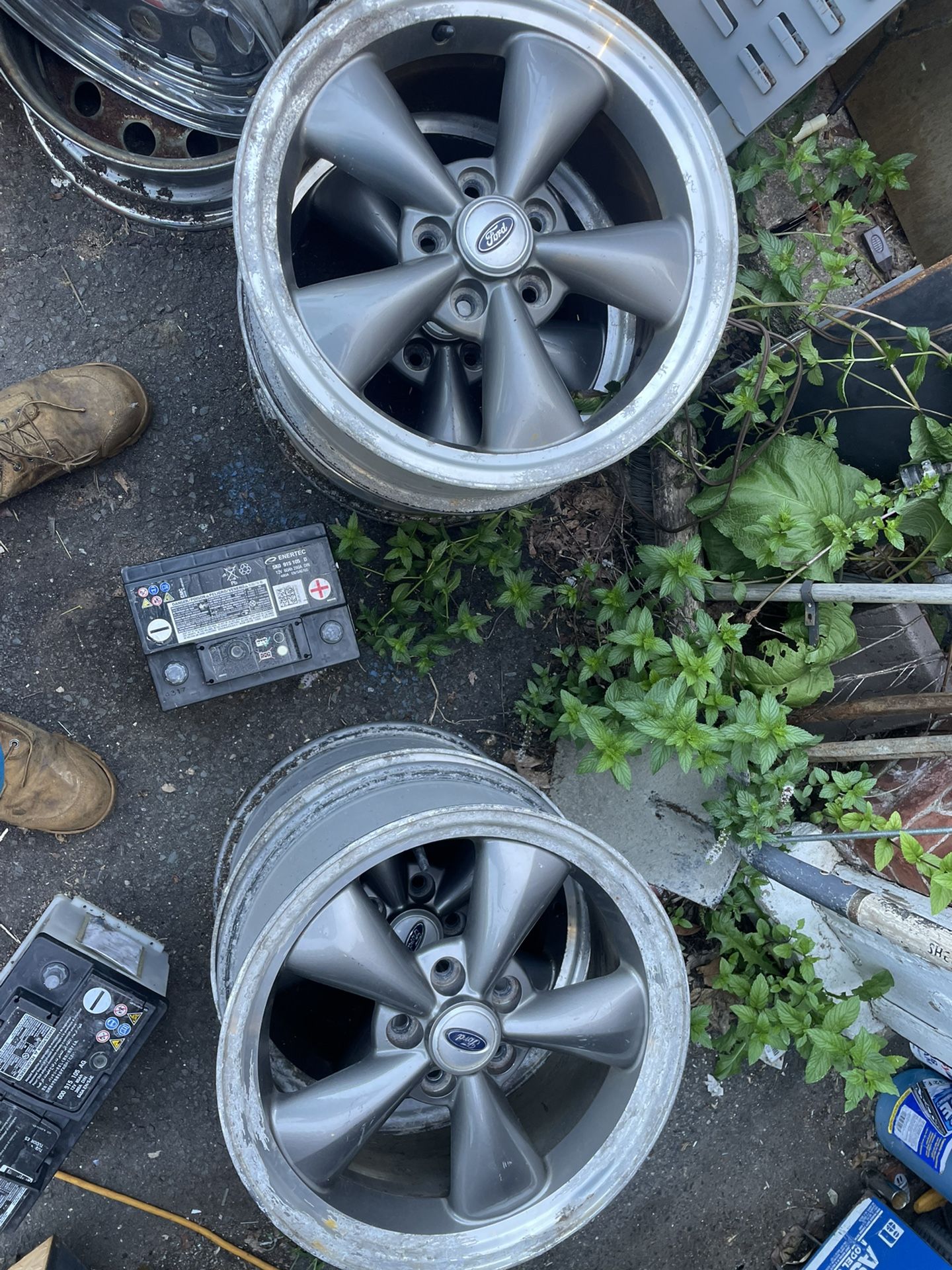 17 x 8 mustang rims