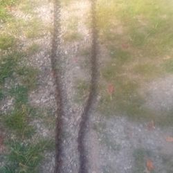 25 Foot Heavy Chain 