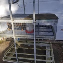 Large Chick Brooder! Complete Setup!