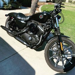 2019 Harley Davidson Iron 883 Sportster 