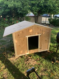 Dog House