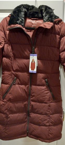 Winter Jacket 