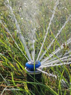 Guzman Sprinkler Repair
