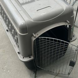 large dog  cage 