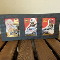 1993 Winston Drag Racing Funny Car Champion 