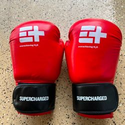 Boxing Gloves Set