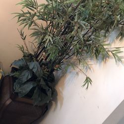 Inside Tree Plant (fake)