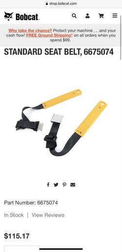 Bobcat Seat Belt