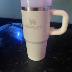 Baby Light Pink Stanley 