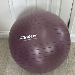 Trideer Exercise Ball
