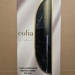 1" Titanium Flat Iron