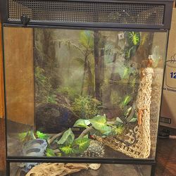 Reptile Cage Can Be Used By Bearded Dragon And More!