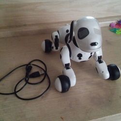 Zoomer spot puppy