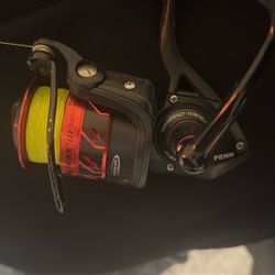 Penn Fierce III With Fierce III Rod 
