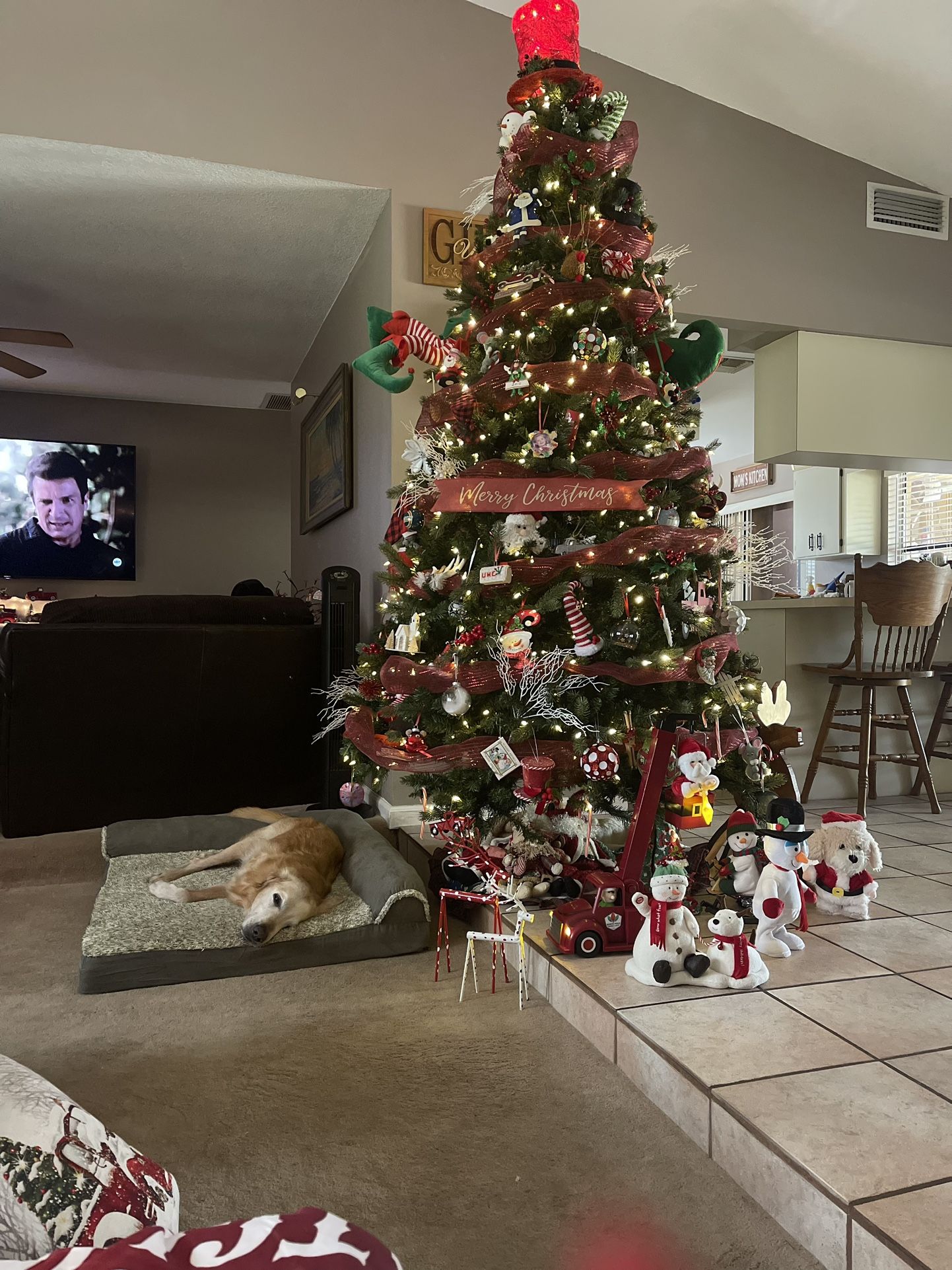 Pre-lit 9ft Christmas Tree!