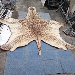 Giraffe Hide / Rug