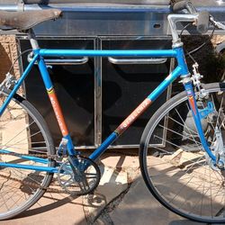 Vintage Bottecchia Road Bike Fixie
