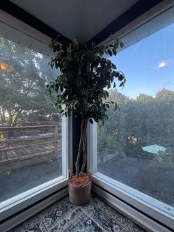 Ficus Tree (artificial)