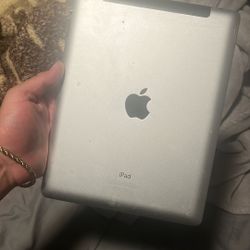 iPad 