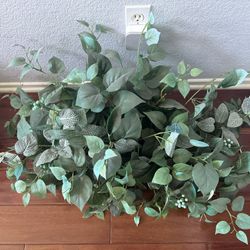 Plants Plastic 